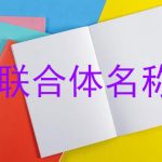 联合体名称怎么填写？的相关内容