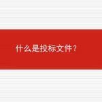 什么是投标文件？的相关内容