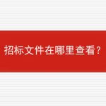 招标文件在哪里查看？的相关内容