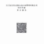 投标中用的财务审计报告是什么？的相关内容
