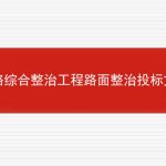 道路综合整治工程路面整治投标文件范本的相关内容